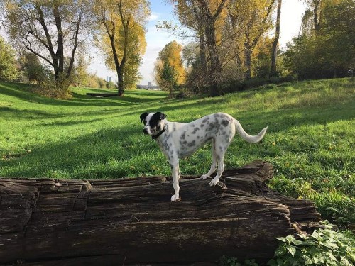 Etappe 4 - Die Orientierung