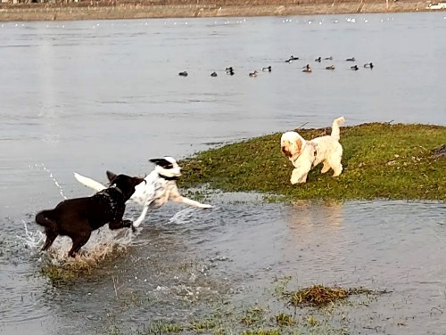 Etappe 3 - Die Stellvertreterkonflikte