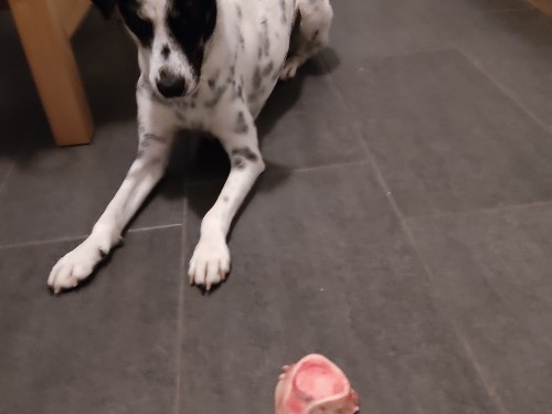 Etappe 2 - Die Frustrationstoleranz