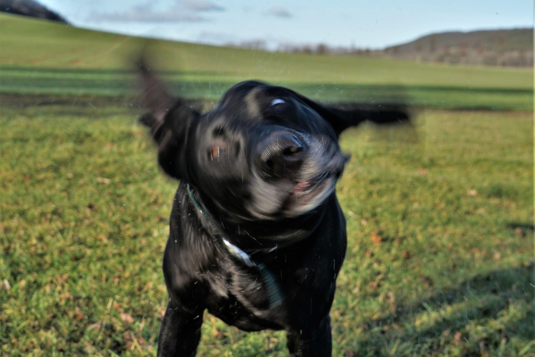 Da ist was schiefgelaufen